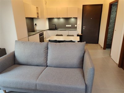 APPARTEMENT T2 A LOUER - DIVONNE LES BAINS - 41.5 m2 - 1800 € charges comprises par mois