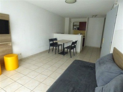 APPARTEMENT T2 A VENDRE - DIVONNE LES BAINS - 41.06 m2 - 90000 €