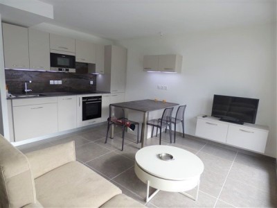 APARTMENT 2 ROOMS TO RENT - DIVONNE LES BAINS - 41.04 m2 - 1170€ including tenant fees