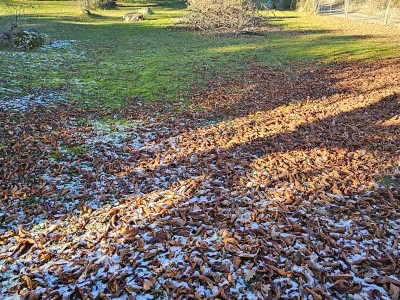 Terrain constructible A VENDRE - GRILLY - 1000 m2 - 545�000�&euro;