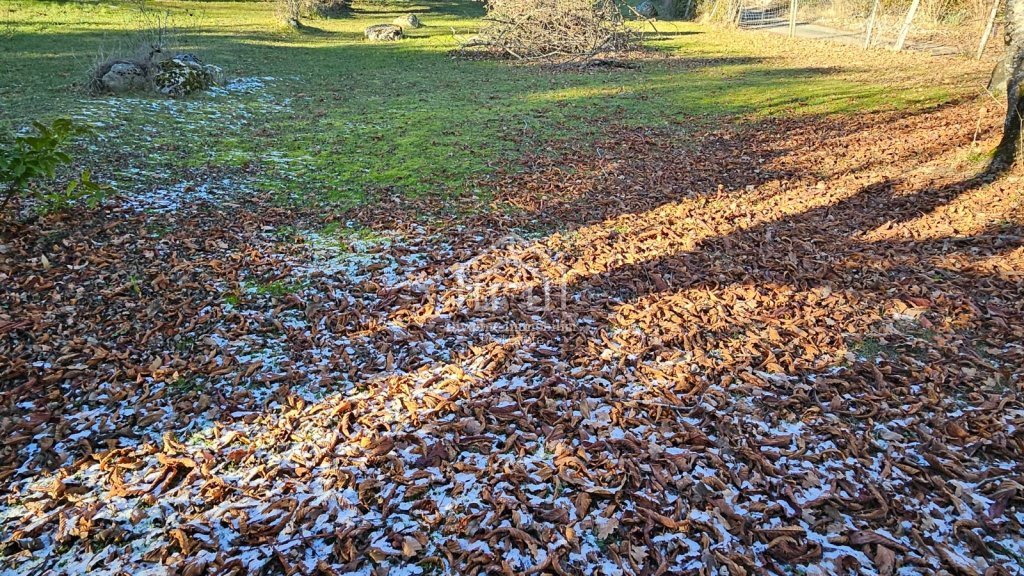 LAND FOR SALE - GRILLY - 1000 m2 - 545�000�&euro;